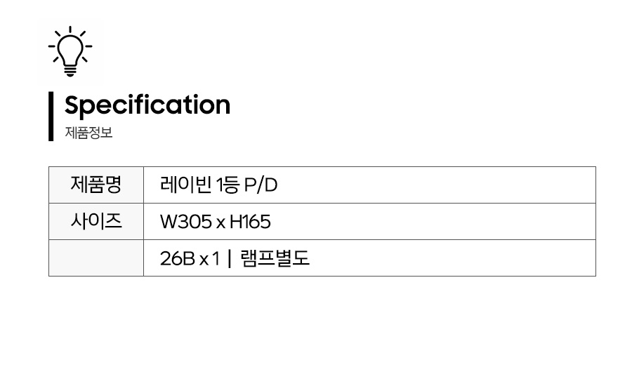 레이빈_제품정보.jpg